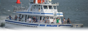 Avalon Ocean Fishing Trips