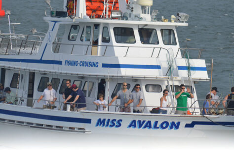 Avalon Ocean Fishing Trips