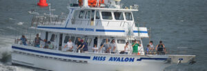 Avalon NJ Fishing Charters
