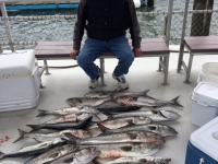 avalon-bay-fishing-1