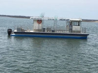 avalon-lady2-Copy
