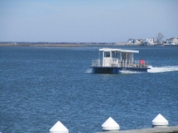 avalon-lady6-Copy